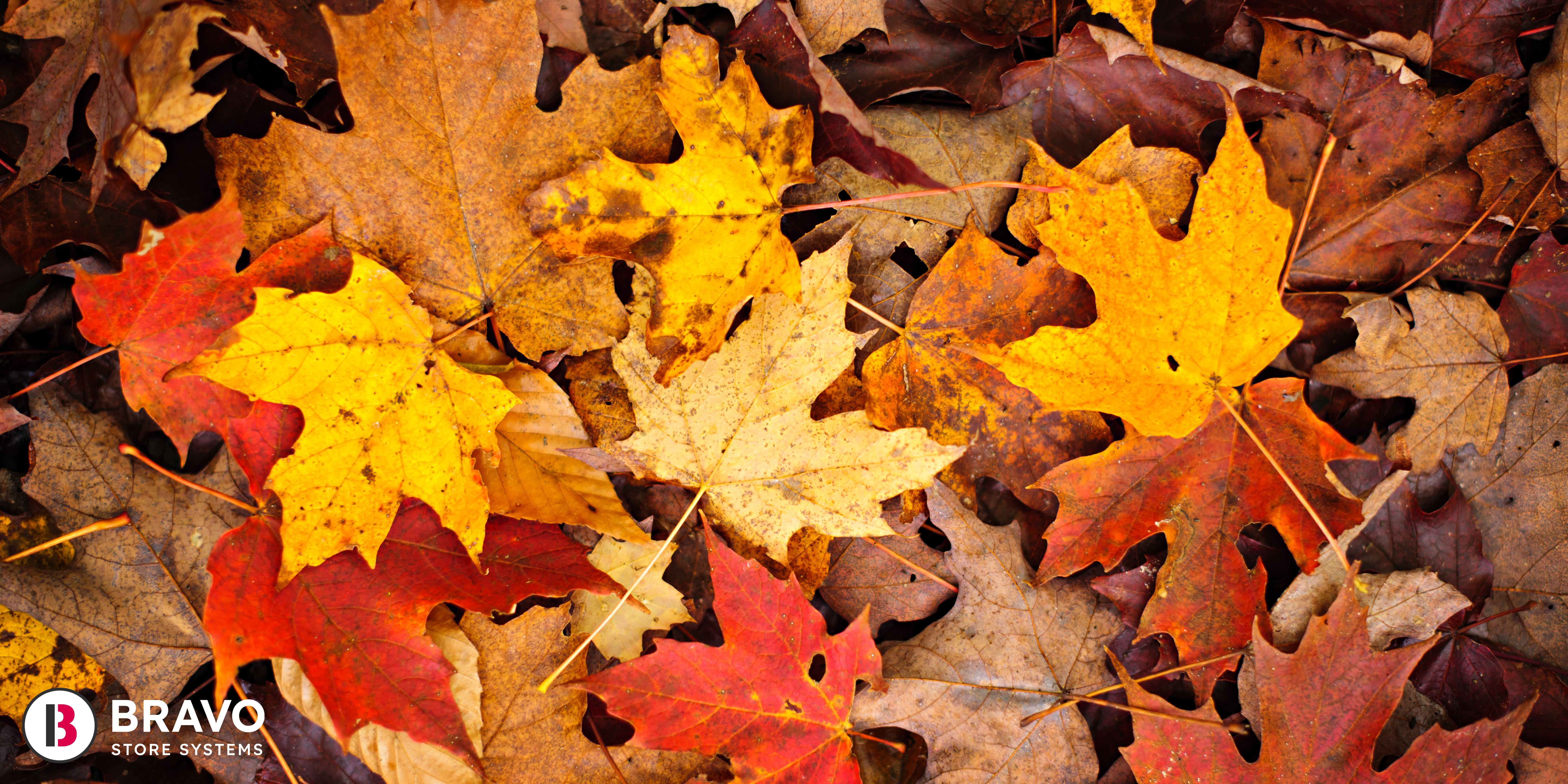 Fall Marketing Strategies: Leveraging Bravo Tools for FFL Stores