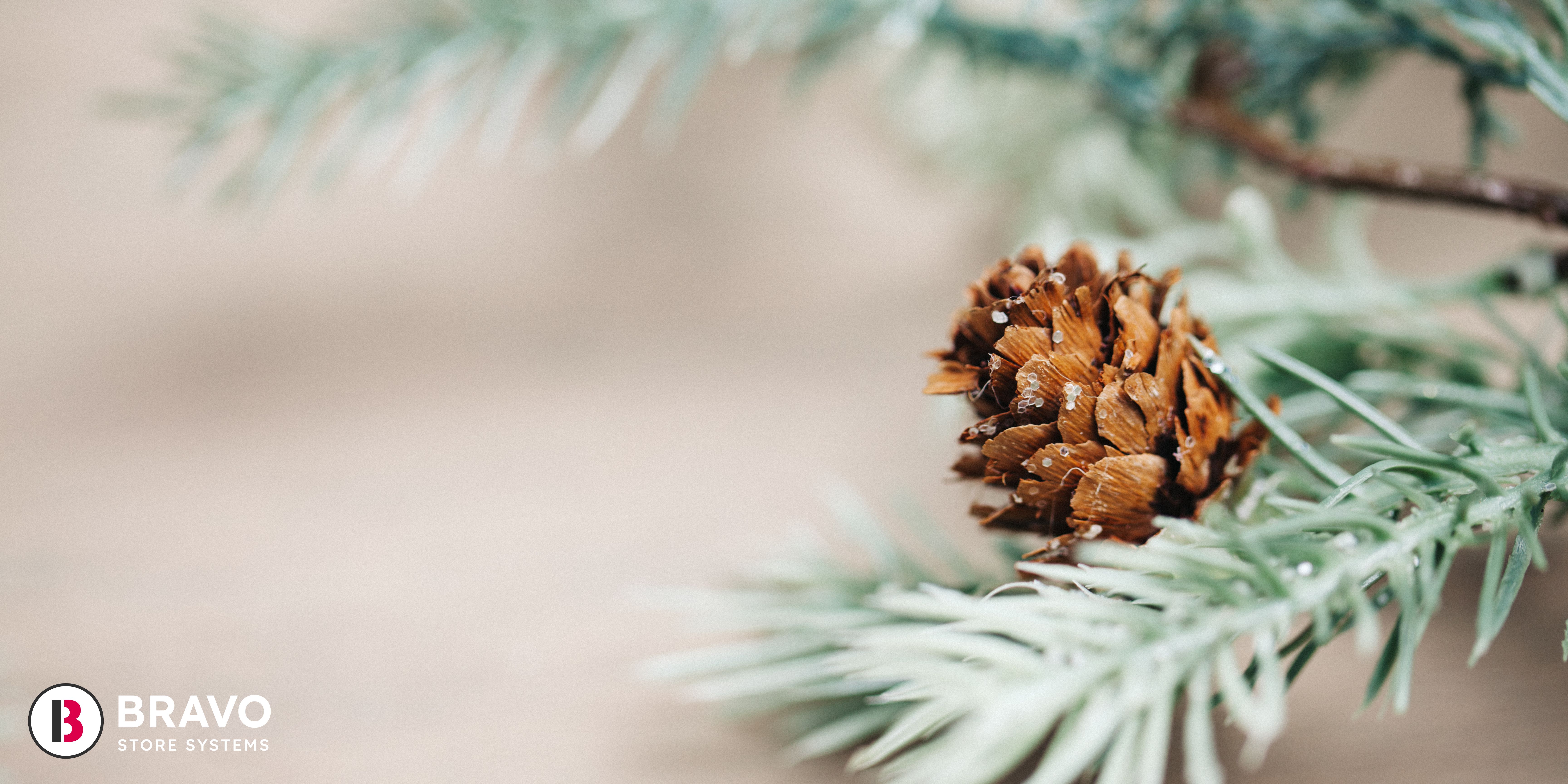 Holiday Season Survival Guide for Independent Retailers
